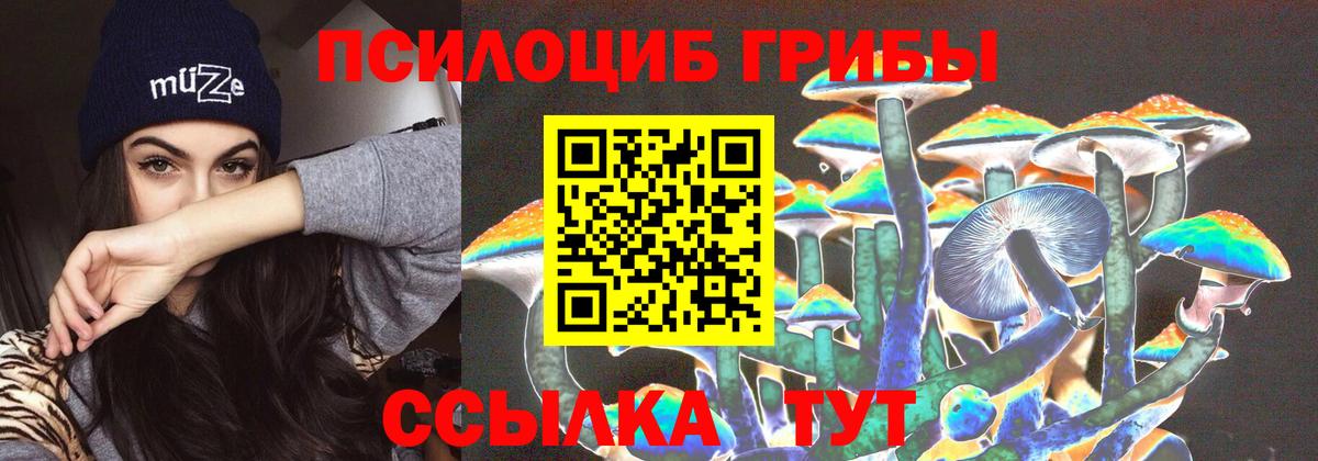 Галлюциногенные грибы Psilocybine cubensis  купить наркотики цена  Галлюциногенные грибы мухоморы  Изобильный  Вход с VPN 